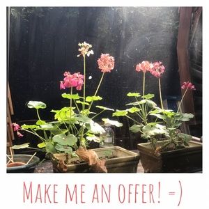 Welcome to my closet!